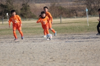 IMG_7393_R_R