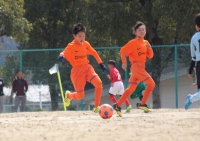 IMG_7786_R_R