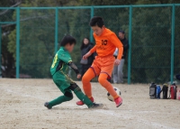 IMG_7954_R_R