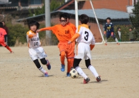 IMG_8204_R_R