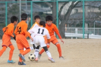IMG_8238_R_R