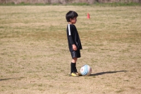 IMG_8572_R_R