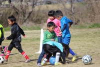 IMG_8581_R_R