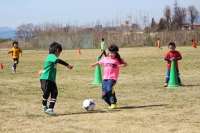 IMG_8592_R_R