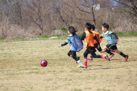 IMG_8621_R_R
