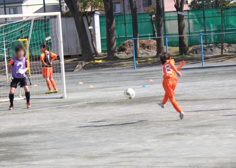 IMG_8917_R_R