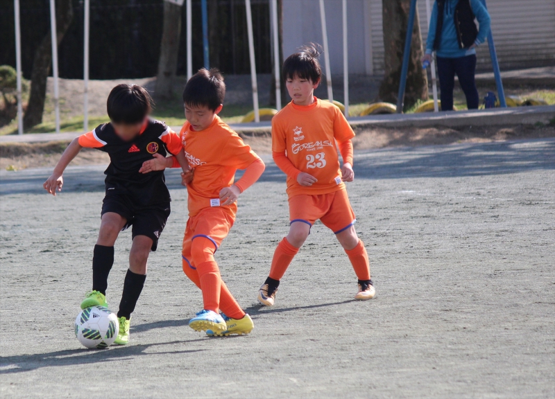 IMG_8953_R_R