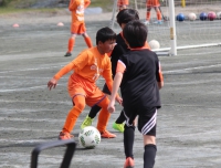 IMG_8704_R_R