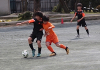 IMG_8737_R_R