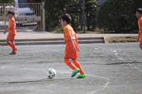 IMG_8795_R_R