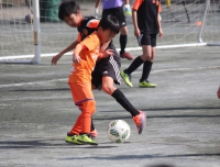 IMG_8839_R_R