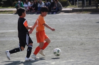 IMG_8913_R_R