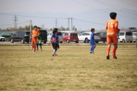 IMG_9231_R_R