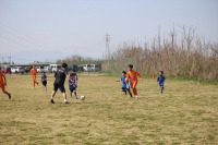 IMG_9255_R_R