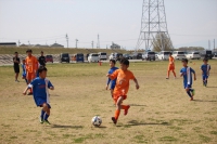 IMG_9338_R_R