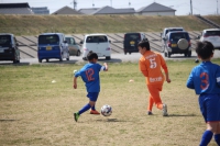 IMG_9384_R_R