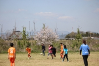 IMG_9784_R_R
