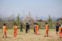 IMG_9894_R_R