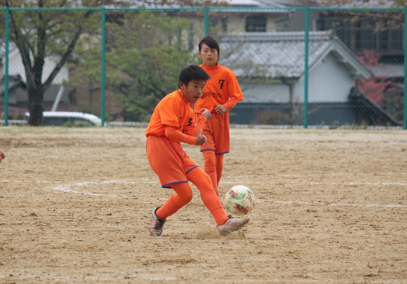IMG_0959_R_R