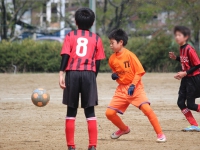 IMG_0837_R_R