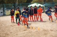 IMG_0891_R_R