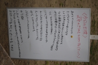 IMG_1680_R_R