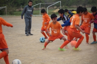 IMG_1781_R_R