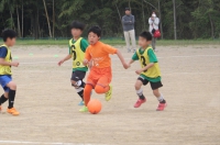 IMG_2074_R_R