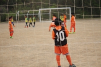 IMG_2466_R_R