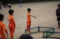 IMG_3816_R_R