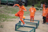 IMG_3942_R_R
