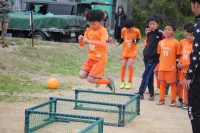 IMG_3981_R_R