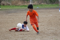 IMG_4238_R_R