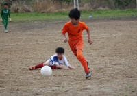 IMG_4239_R_R
