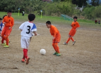 IMG_4313_R_R