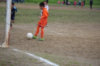 IMG_4330_R_R