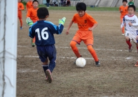 IMG_4487_R_R