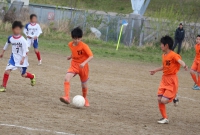 IMG_4558_R_R