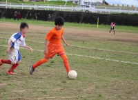 IMG_4595_R_R