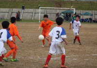 IMG_4637_R_R