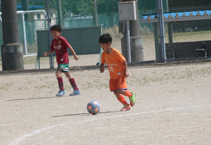 IMG_0606_R_R