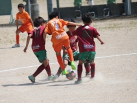 IMG_0448_R_R