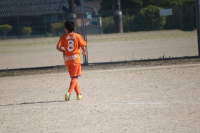IMG_0742_R_R