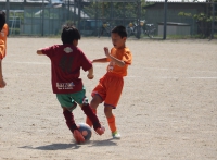 IMG_4804_R_R