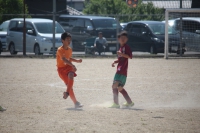 IMG_4898_R_R