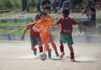 IMG_4982_R_R