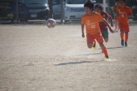 IMG_5620_R_R