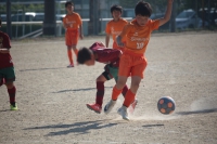 IMG_5864_R_R
