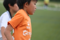 IMG_2240_R_R