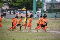 IMG_5988_R_R